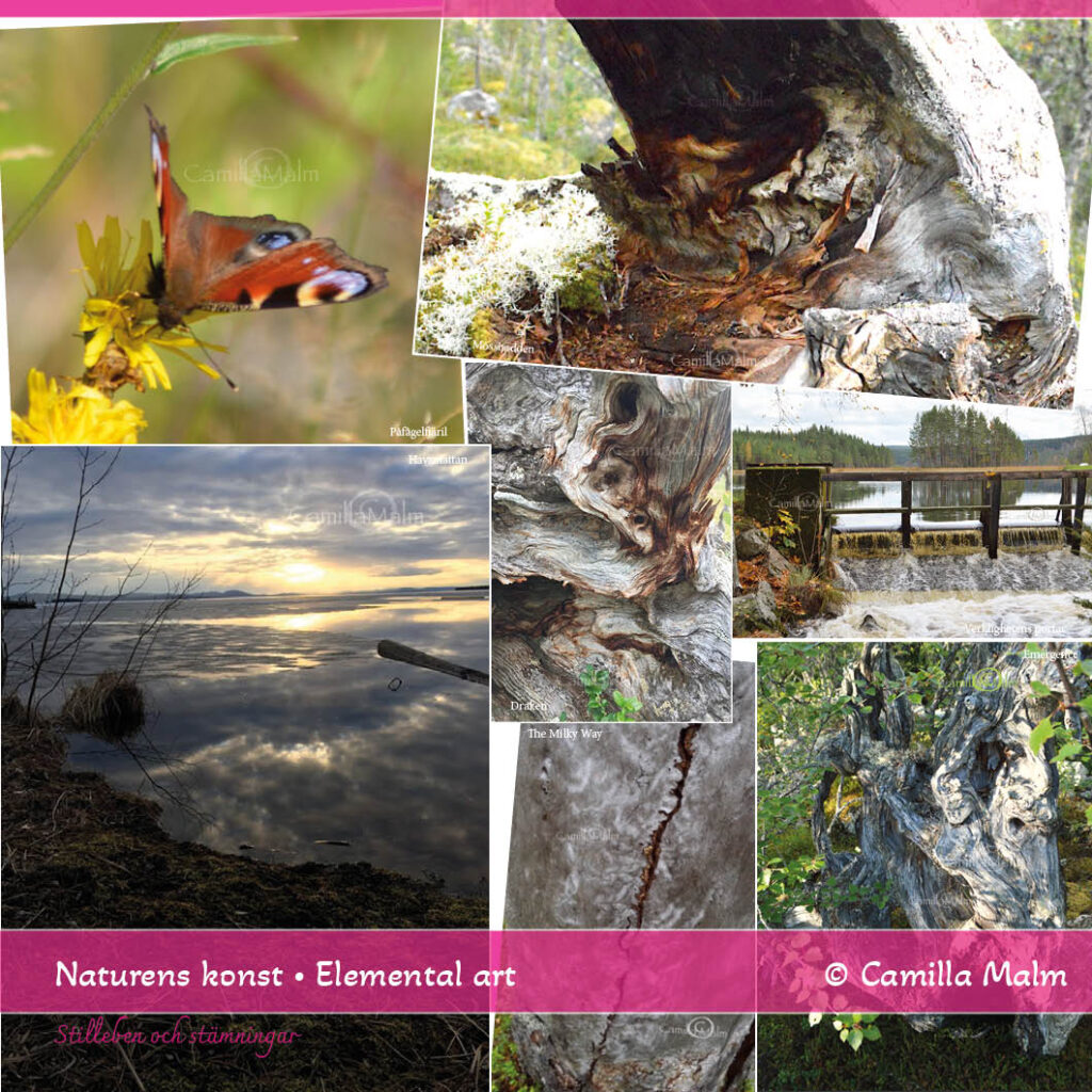 Elemental art, a collage of nature photos offering both scenery, details, and magic. ©Camilla Malm