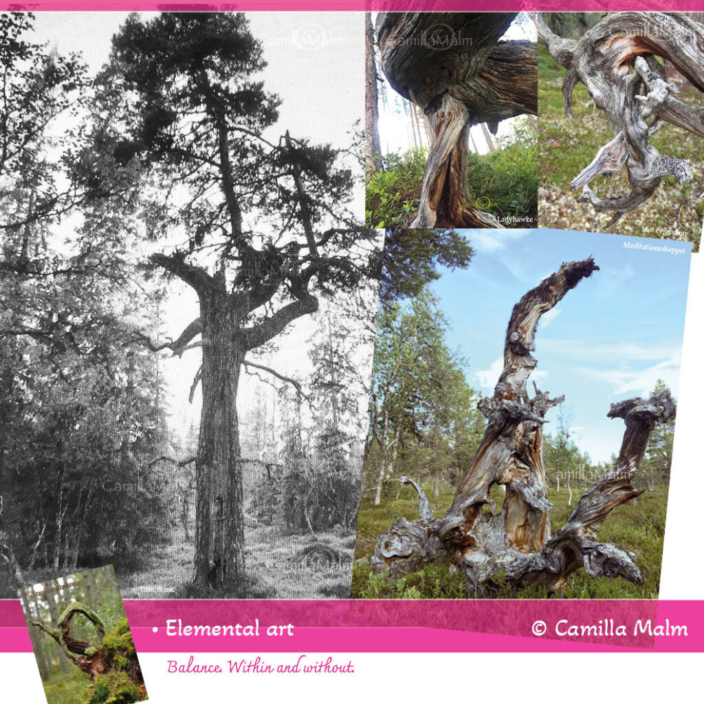 Elemental art, a collage of nature photos with meditative properties. ©Camilla Malm