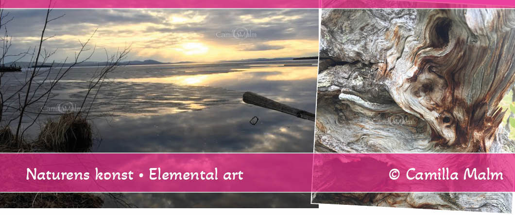Naturbild: Solnedgång över Siljan i molntäcke. Elemental art: Drakhuvud.